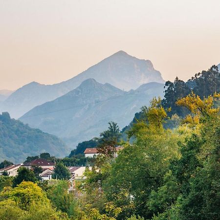 El Prau De Mito Apartment Cangas de Onis Bagian luar foto