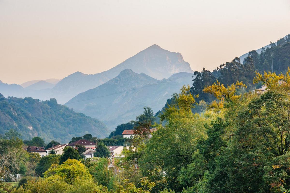 El Prau De Mito Apartment Cangas de Onis Bagian luar foto